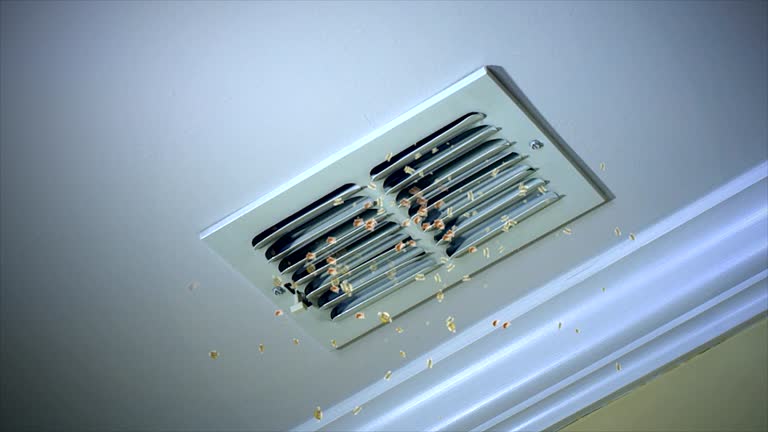 Best HVAC Duct Inspection Services  in Cornville, AZ