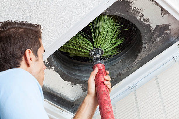 Best Professional Duct Cleaning Services  in Cornville, AZ