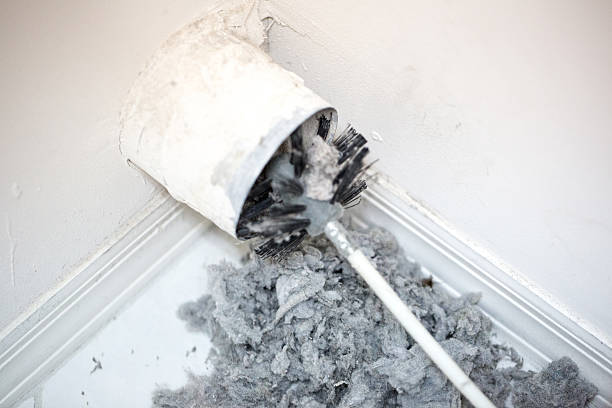 Best HVAC Maintenance and Cleaning  in Cornville, AZ